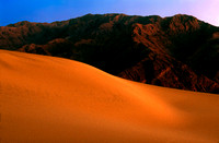 Dune series #12