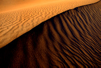 Dune series #5